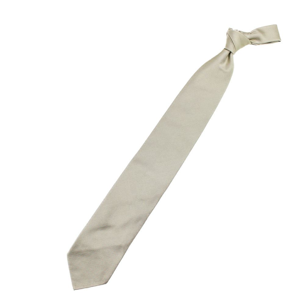 TIE YOUR TIE タイユアタイ スフォデラータ シルクコットンタイ